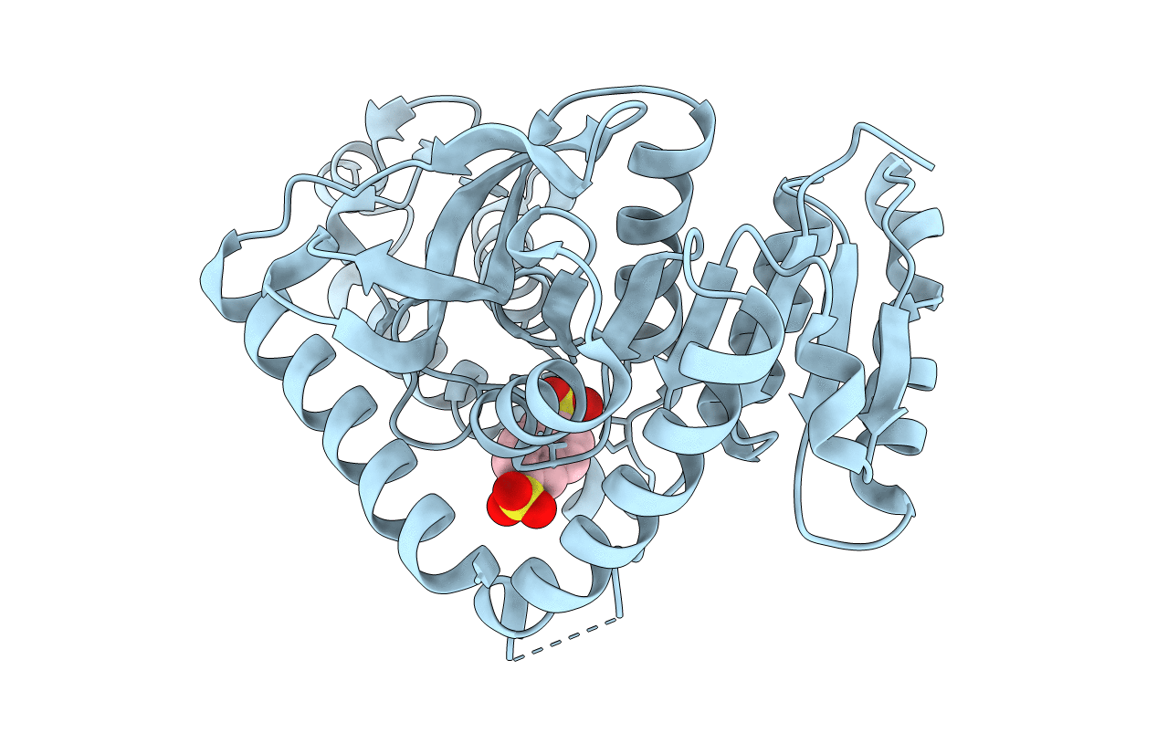 1U4S image