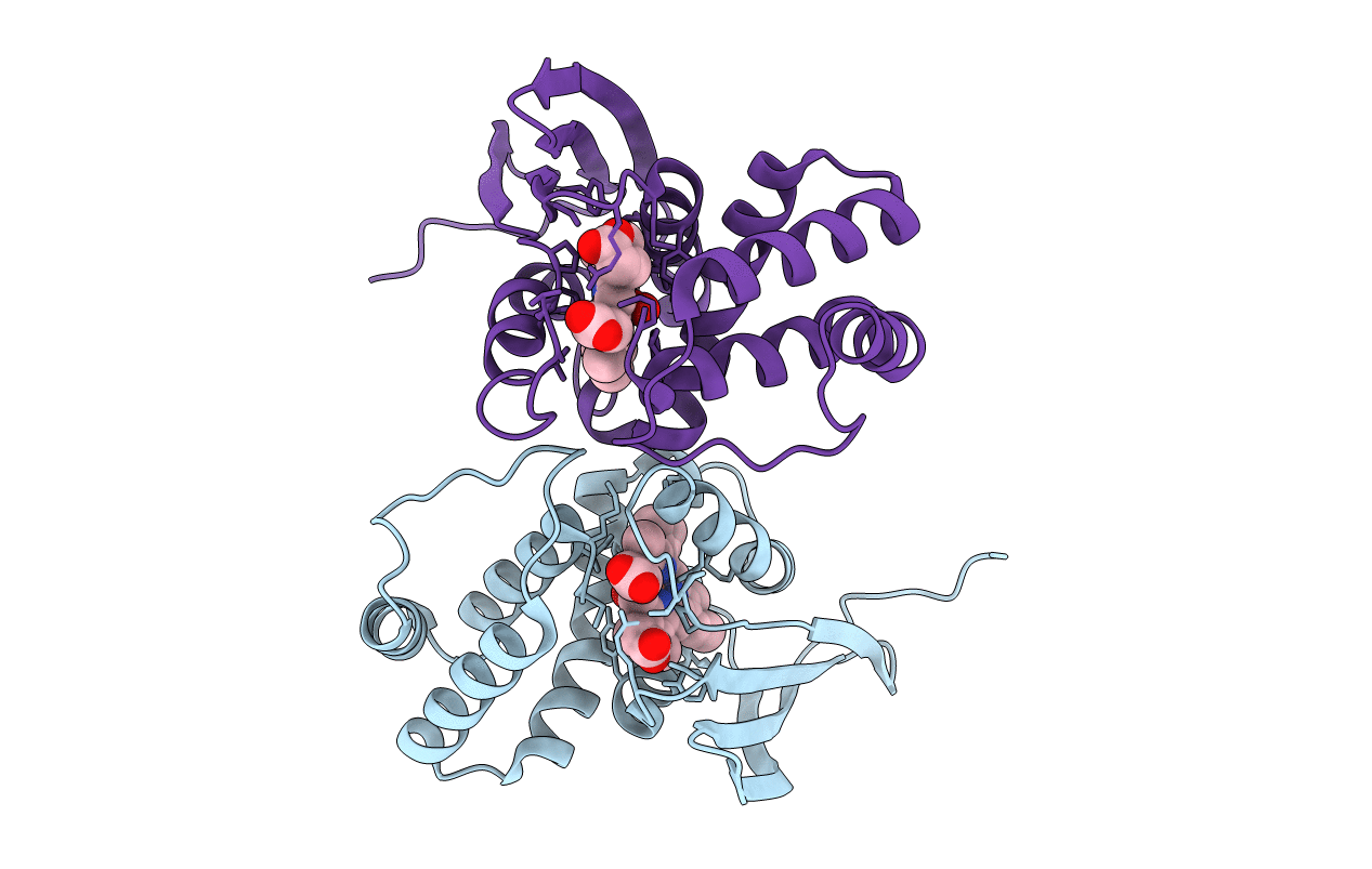 1U55 image