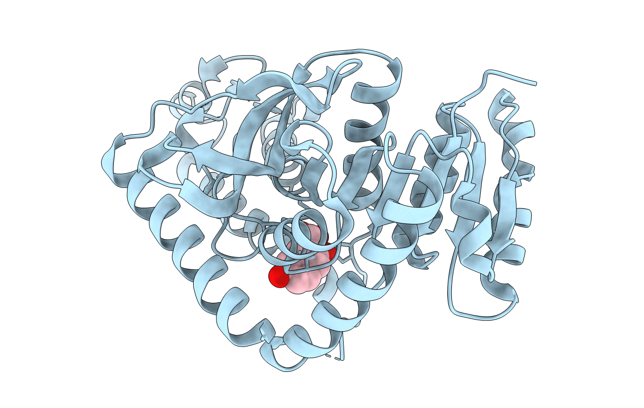 1u5a image