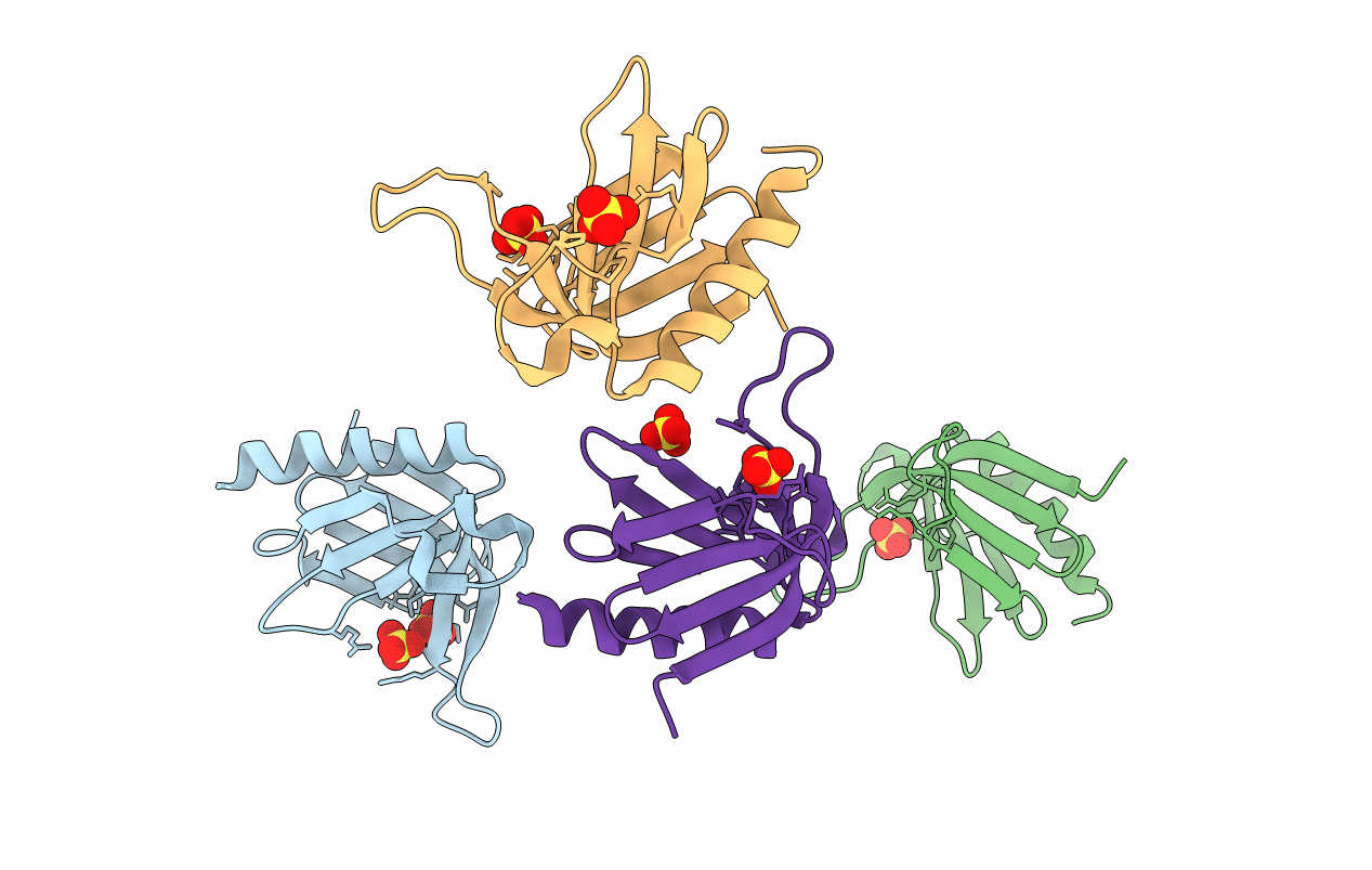 1U5D image