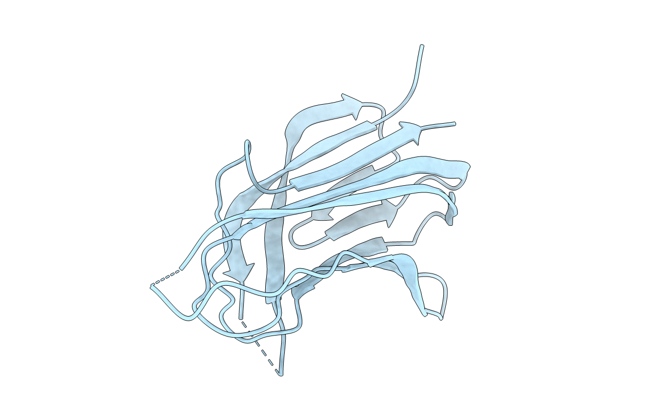 1U5X image