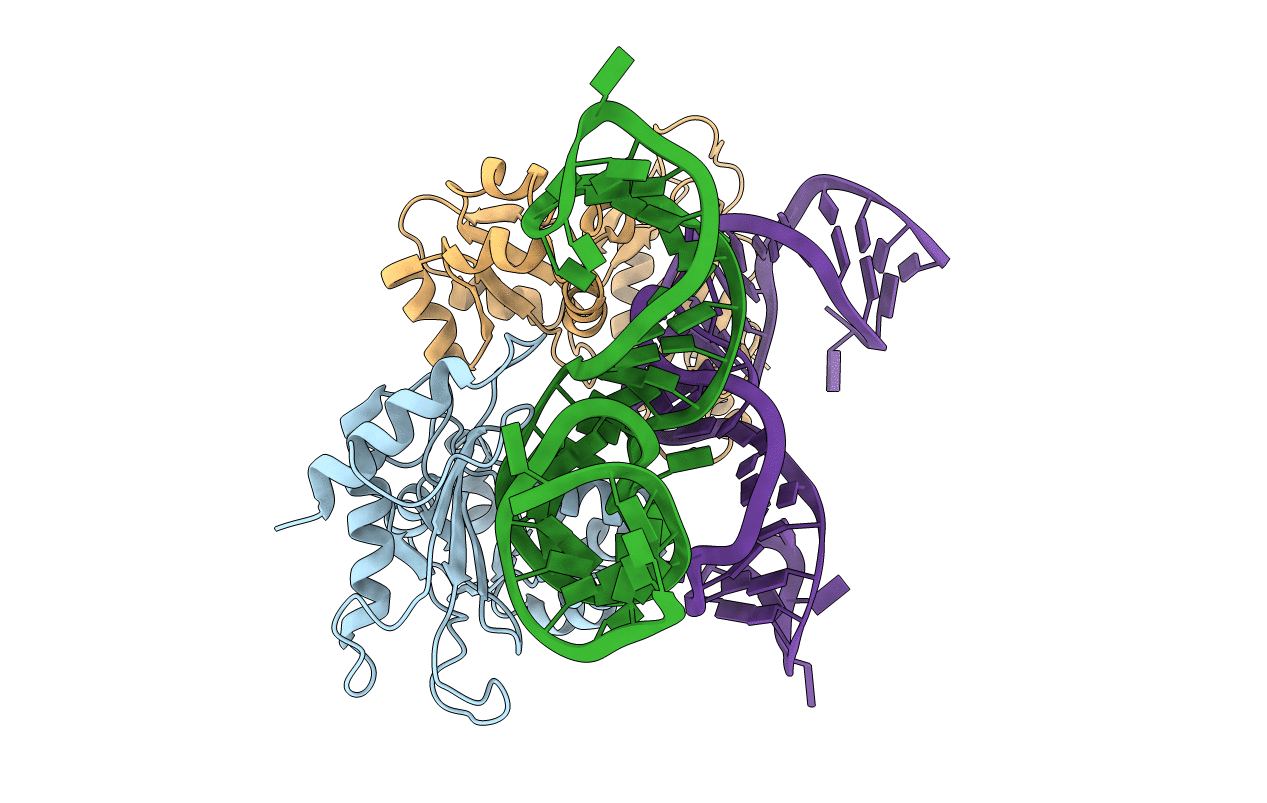 1U63 image