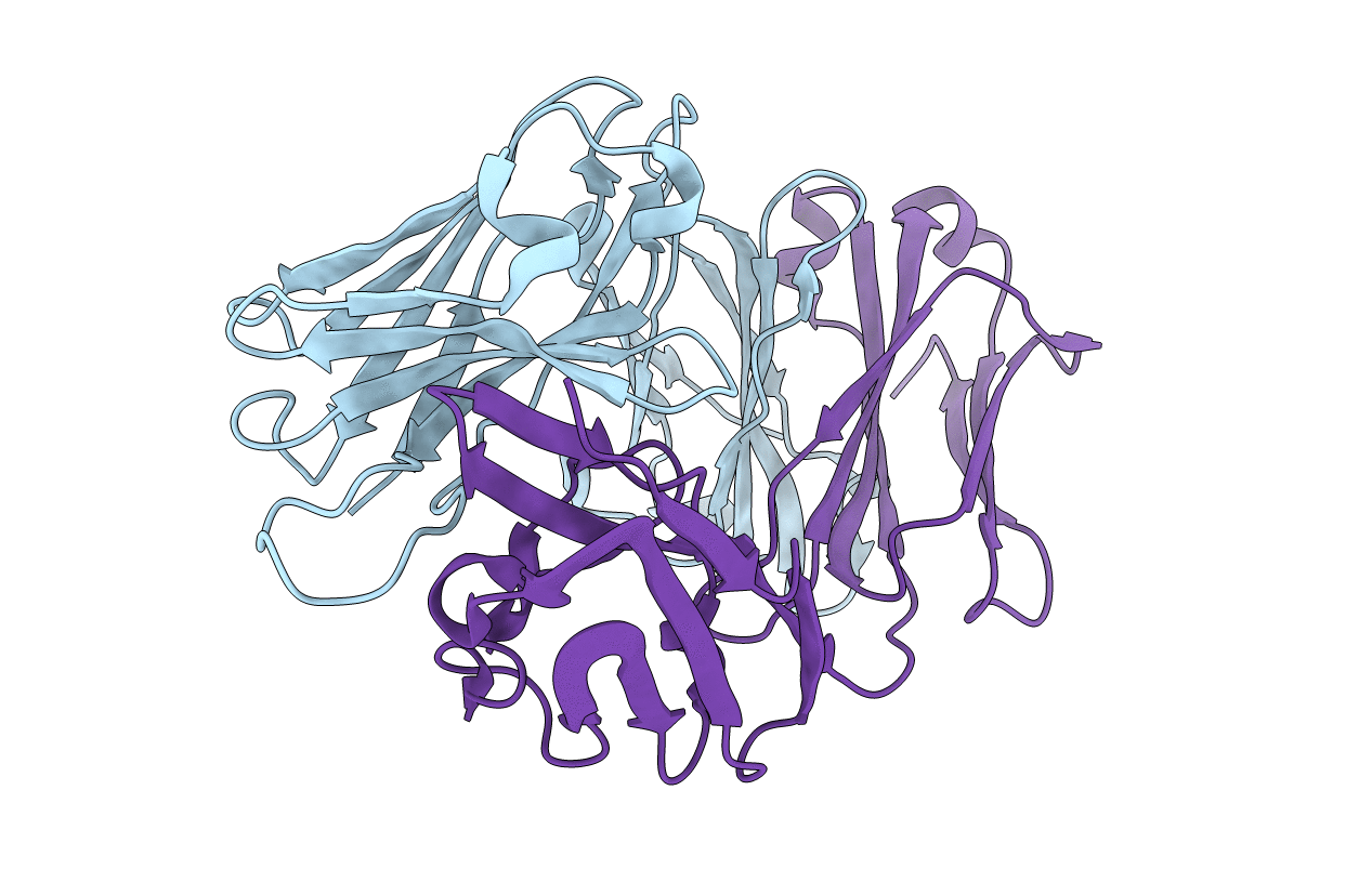 1U6A image
