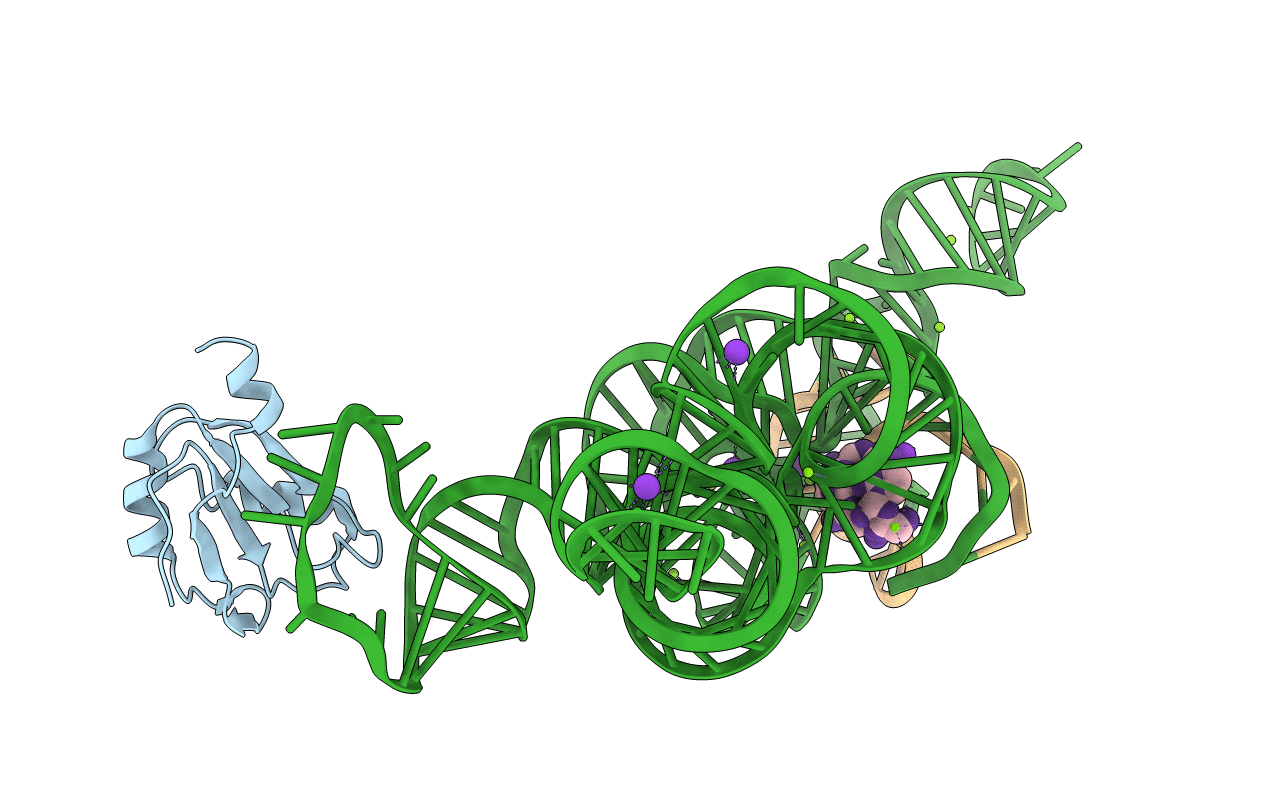 1U6B image