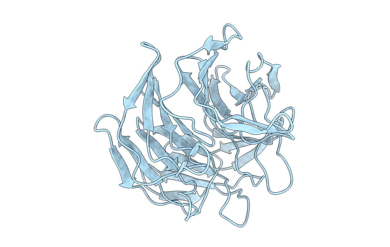 1U6D image