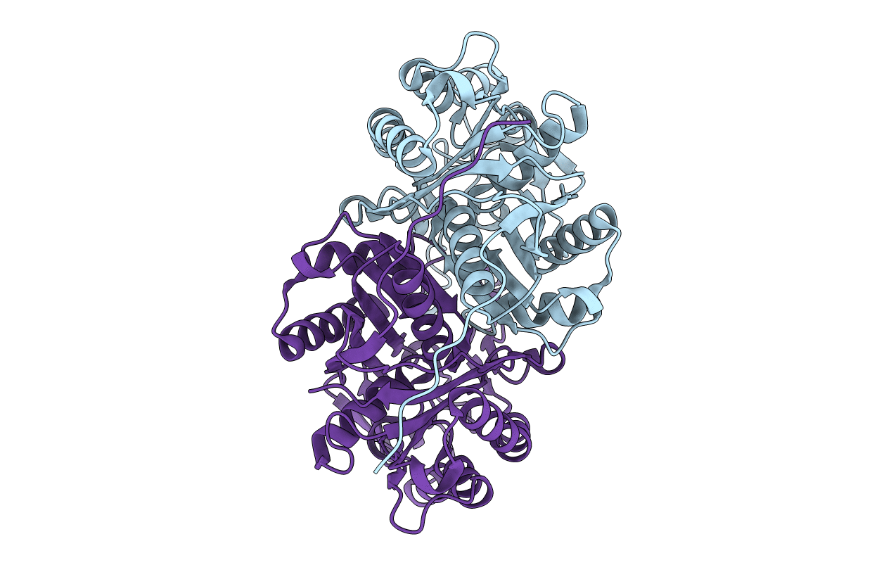 1U6E image
