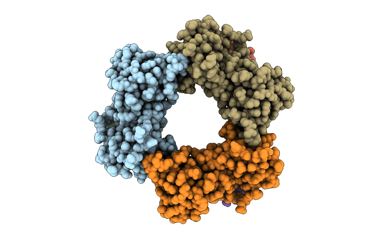 1U76 image