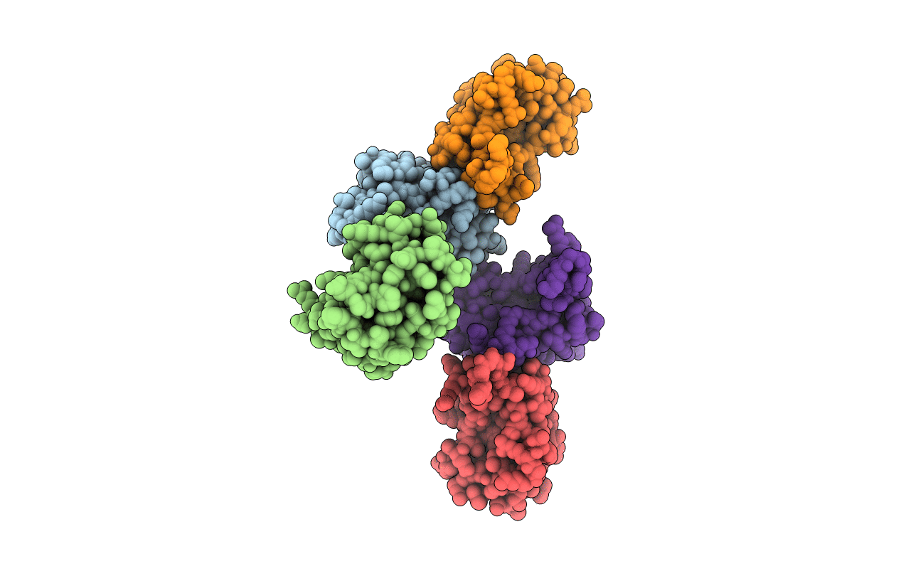1U79 image