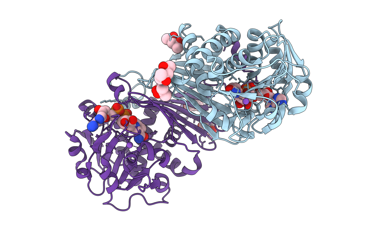 1U7H image