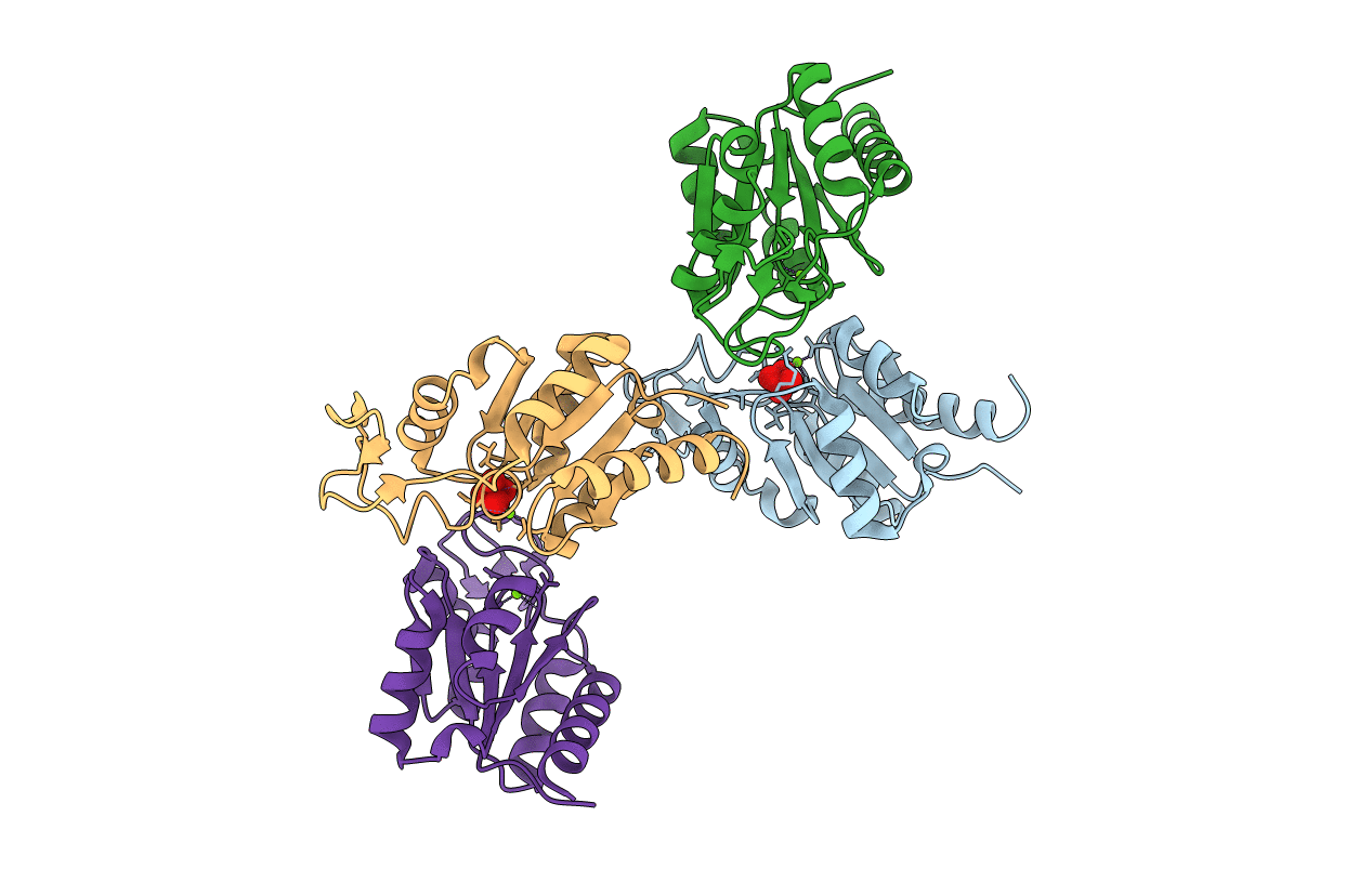 1U7P image
