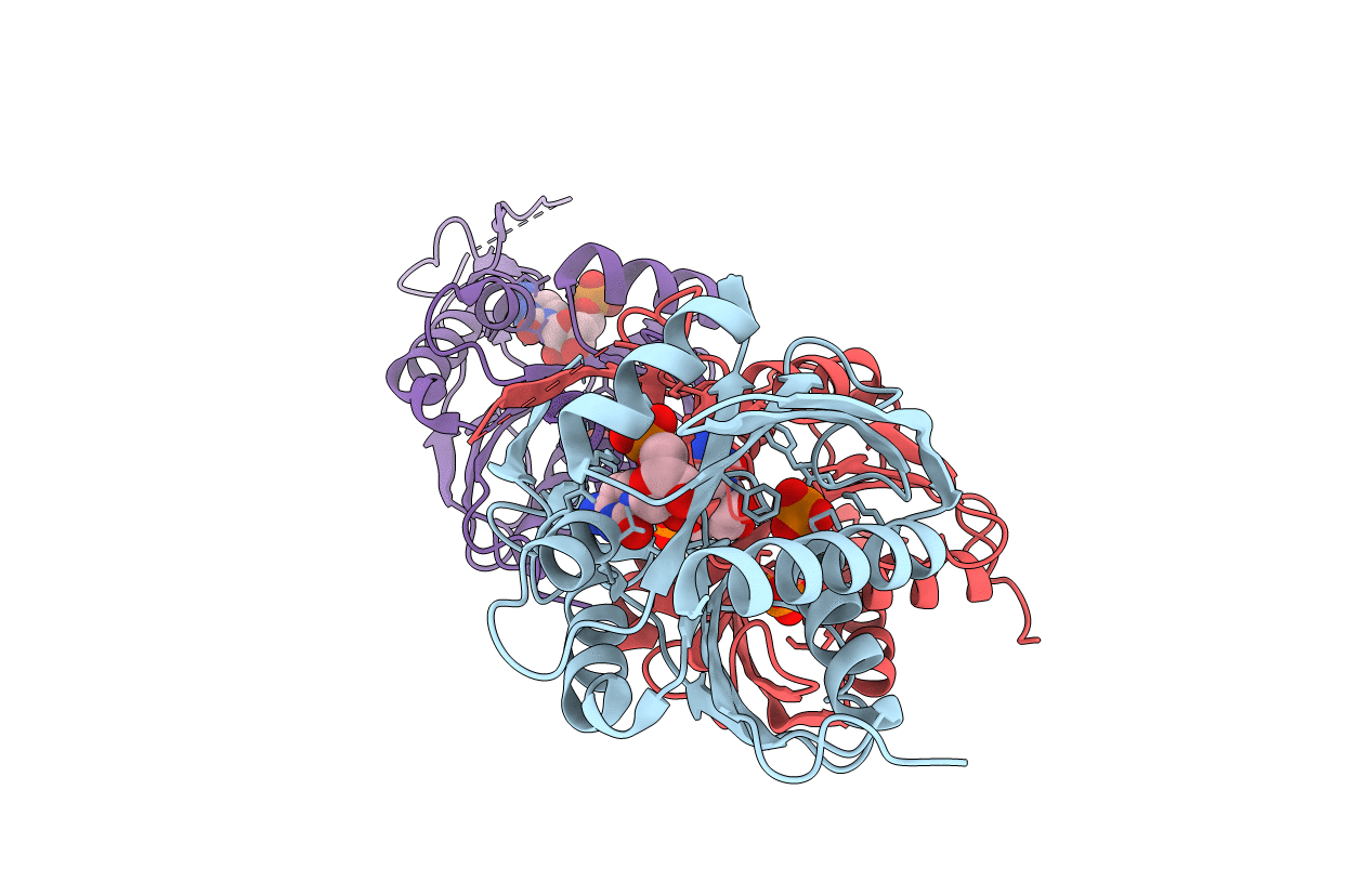 1U80 image