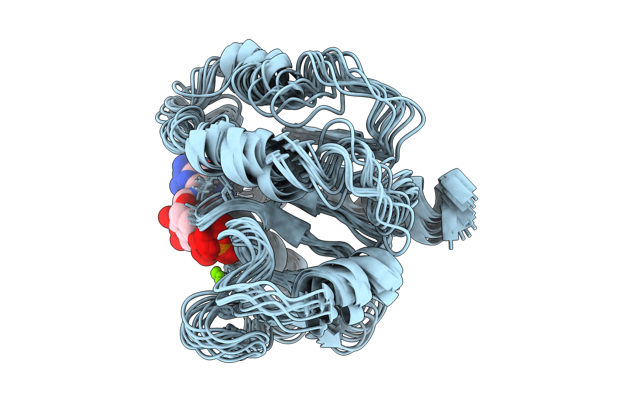 1U81 image