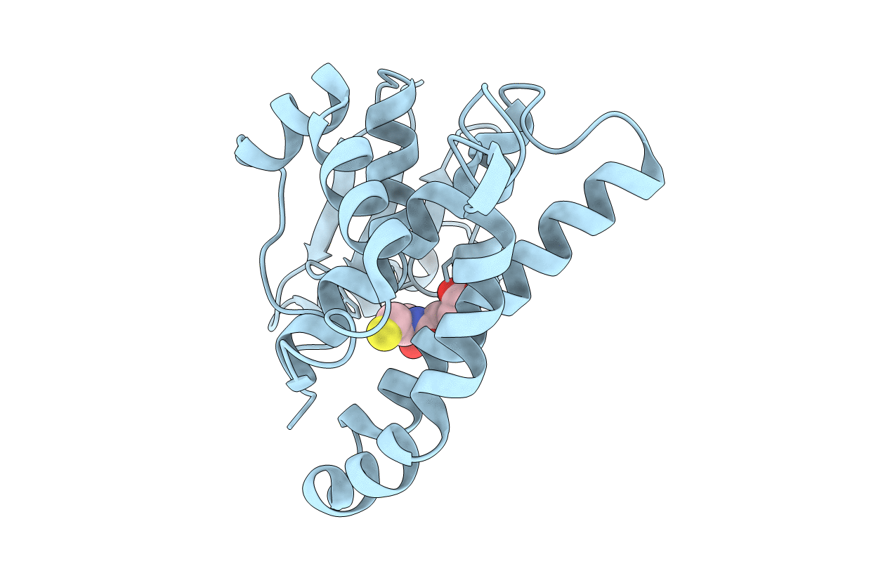 1U87 image