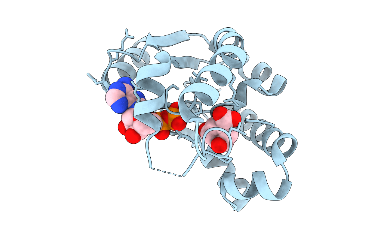 1U8A image