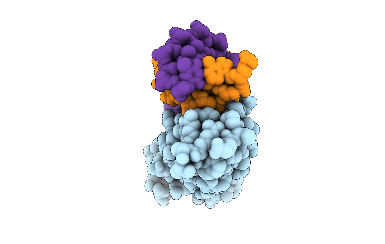 1U8B image
