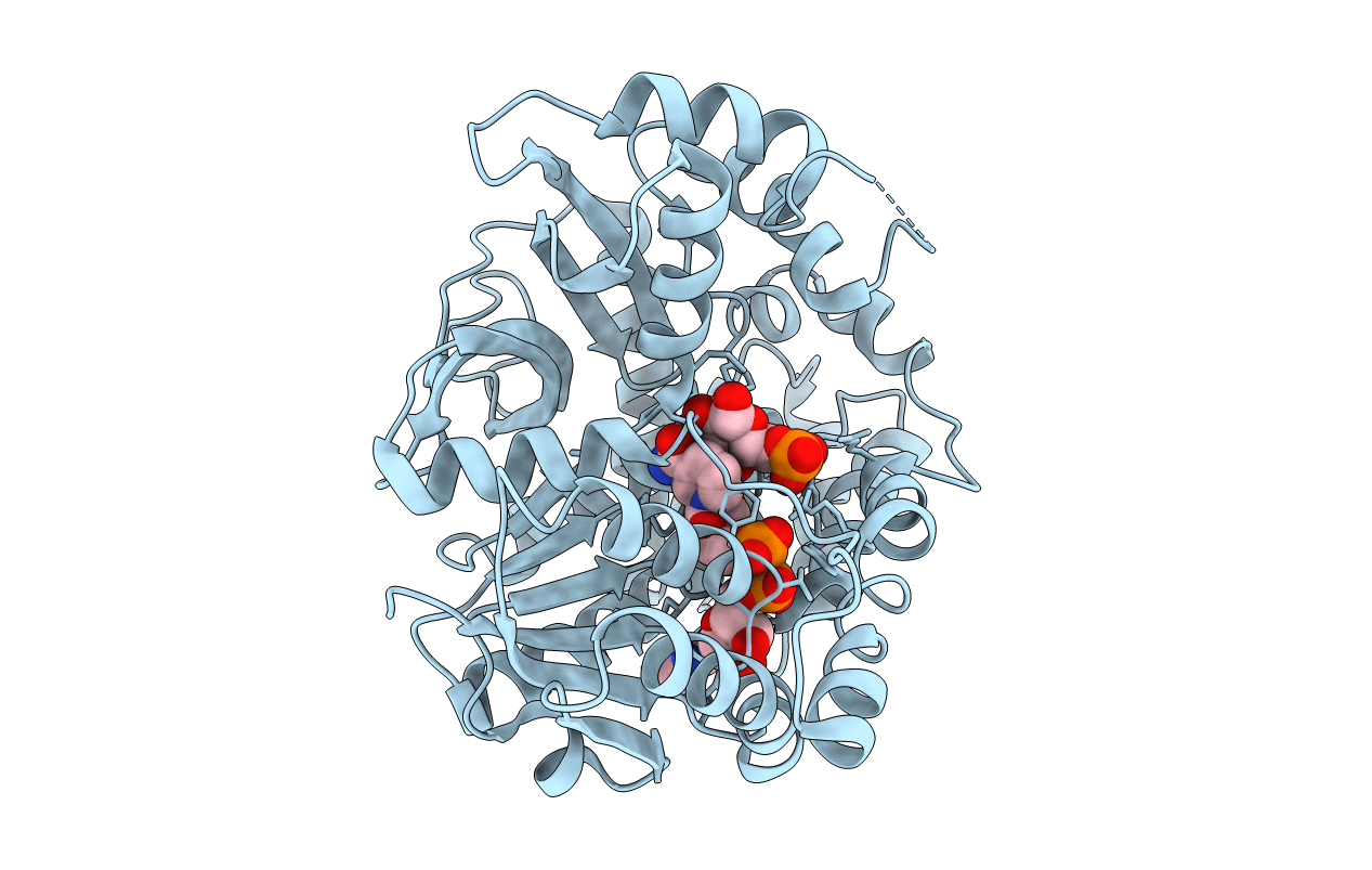 1U8X image