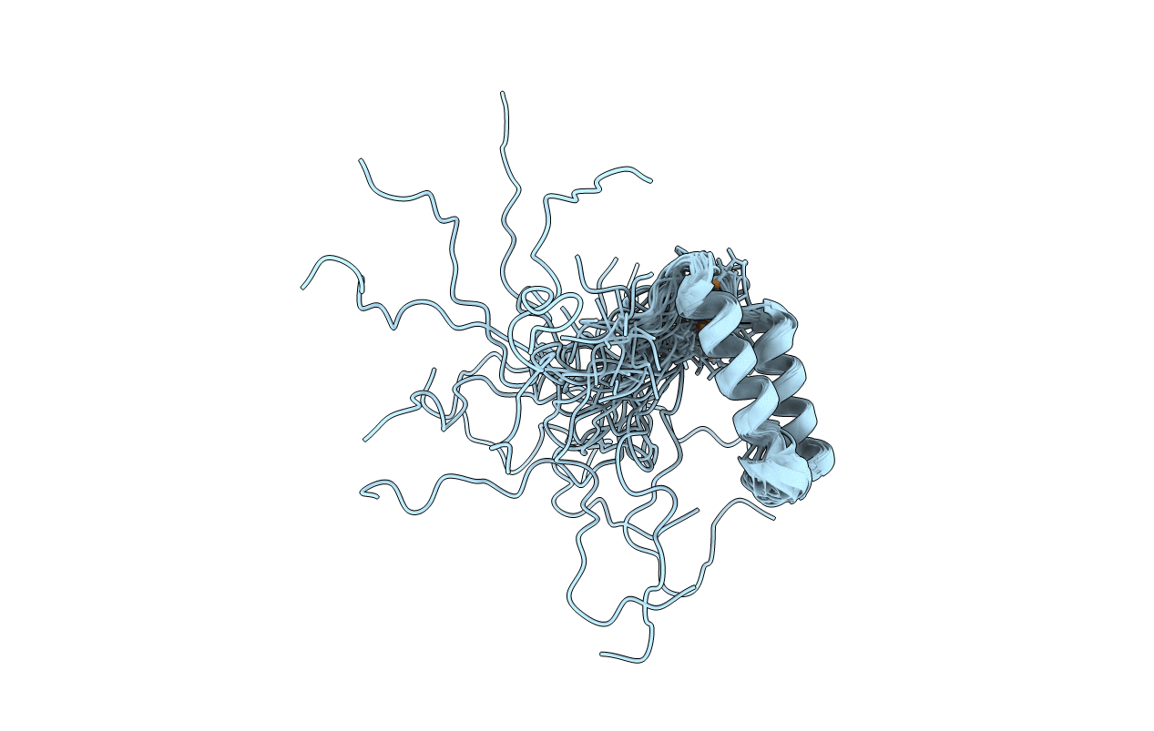 1U96 image