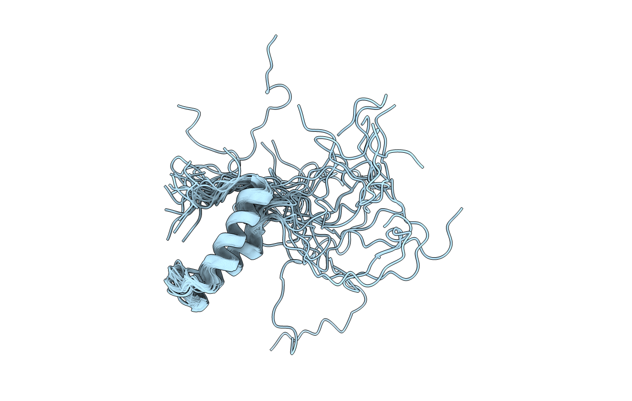 1U97 image