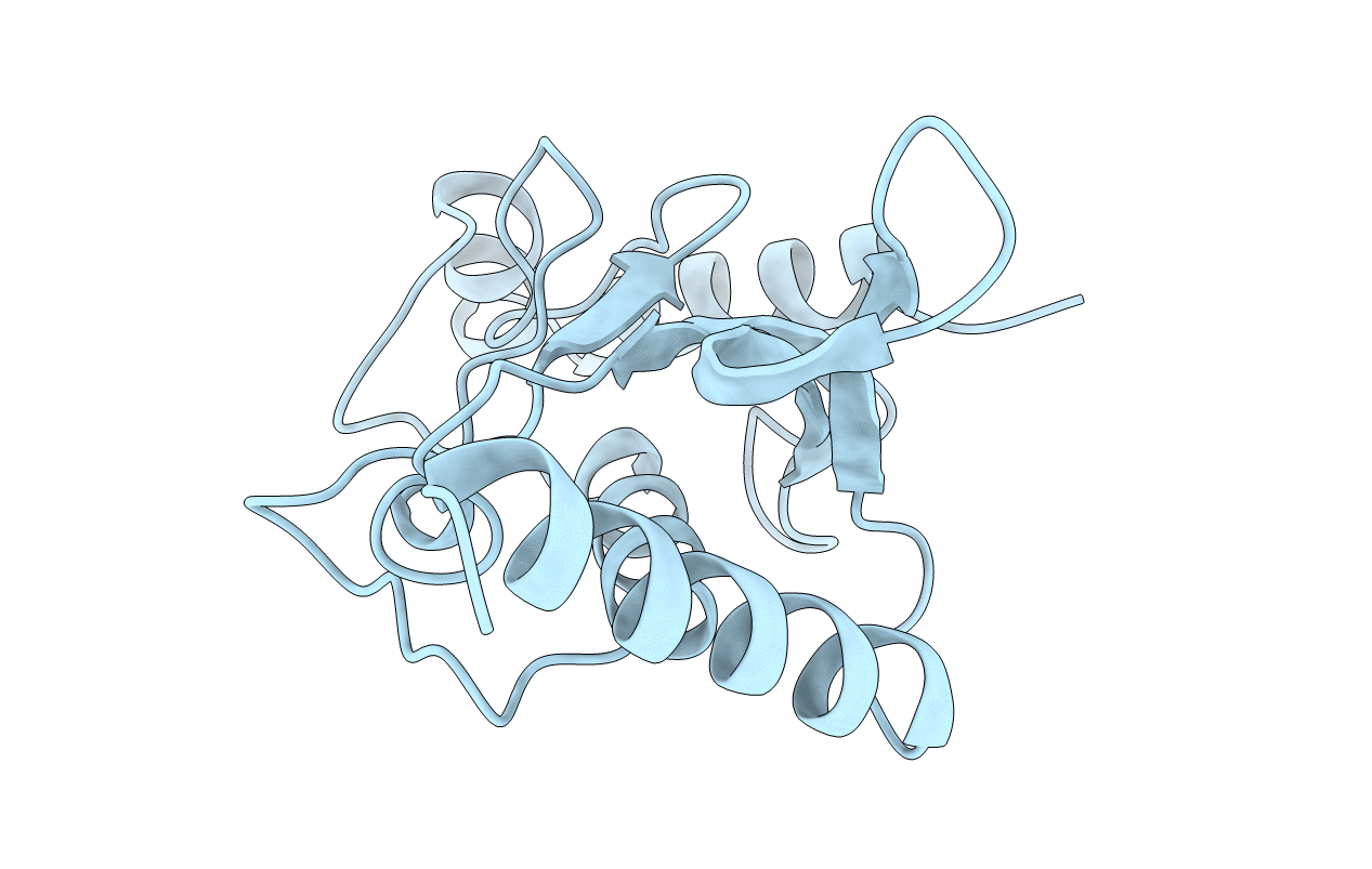 1U9A image