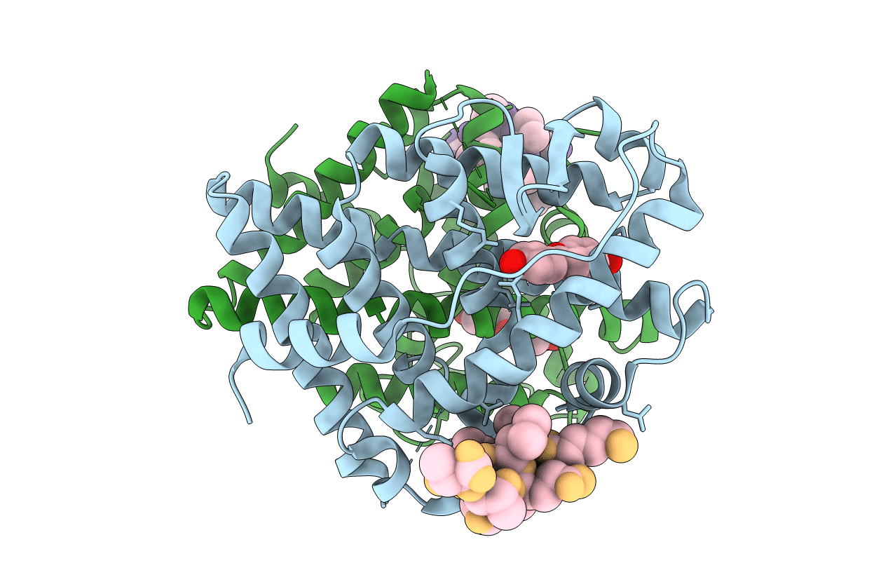 1U9E image