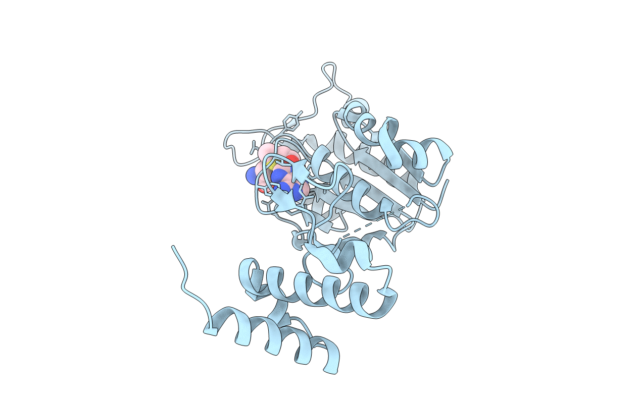 1UAK image