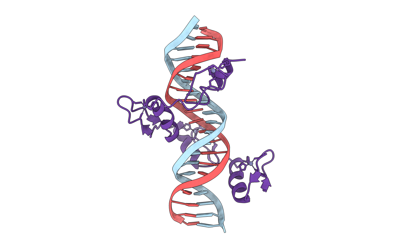 1UBD image