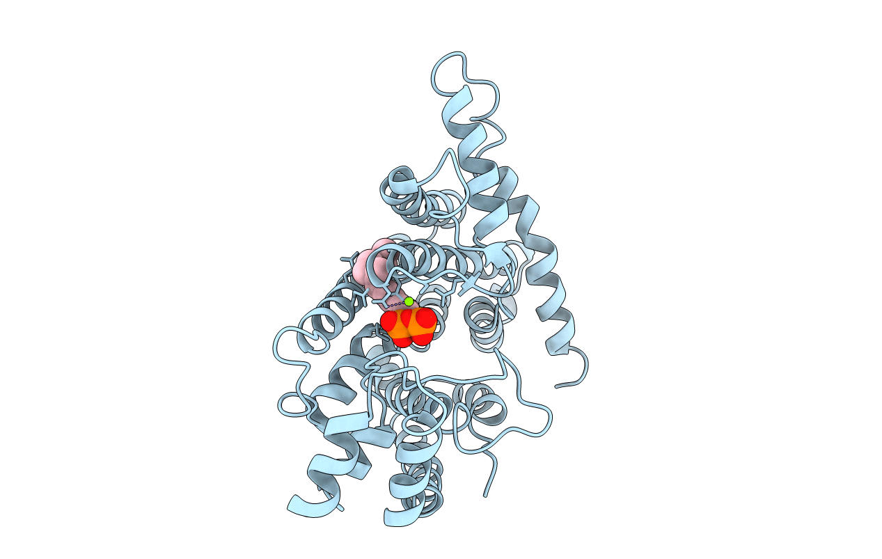1UBX image