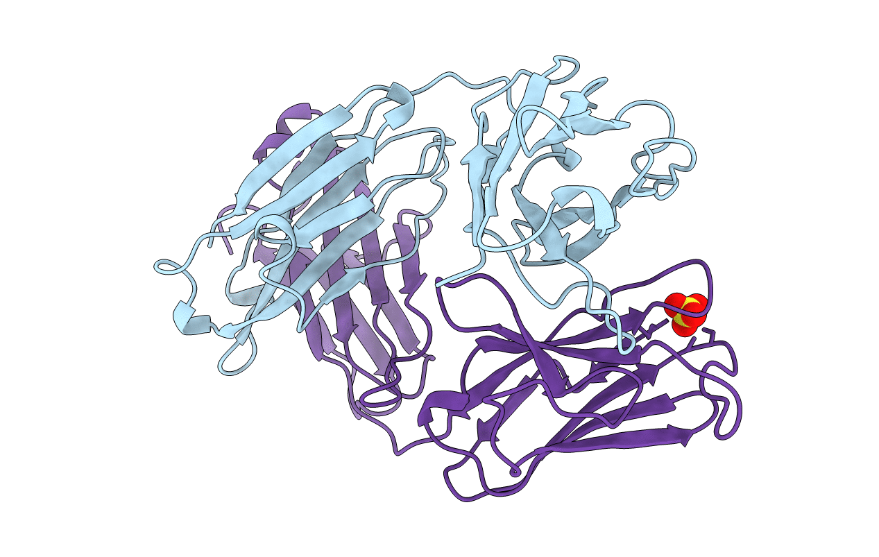 1UCB image