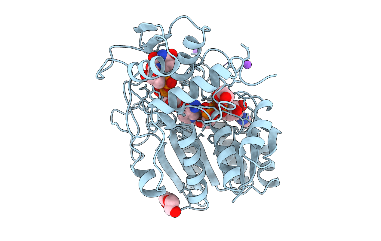 1UDB image