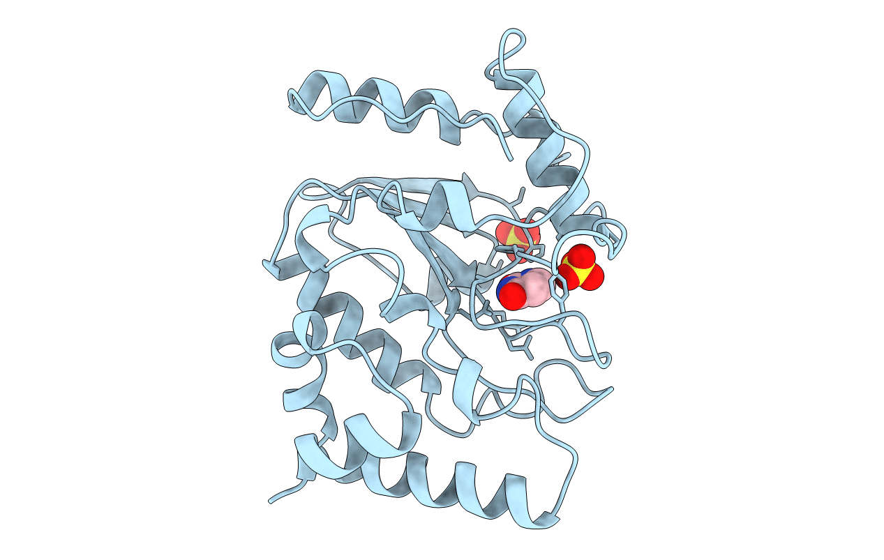 1UDH image