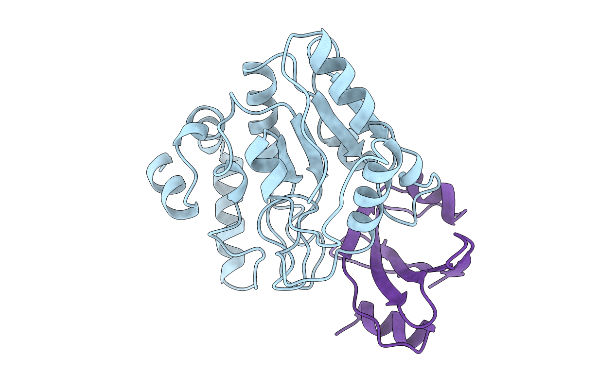 1UDI image