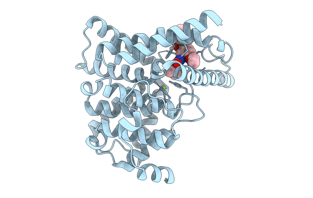 1UDT image