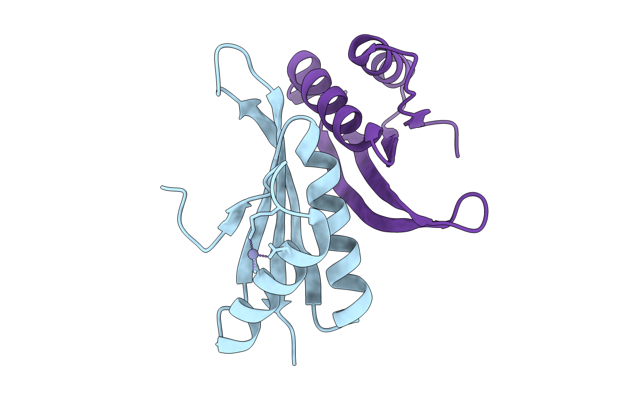 1UDV image