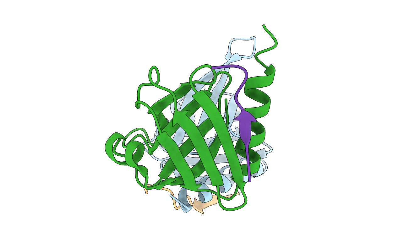 1UEF image