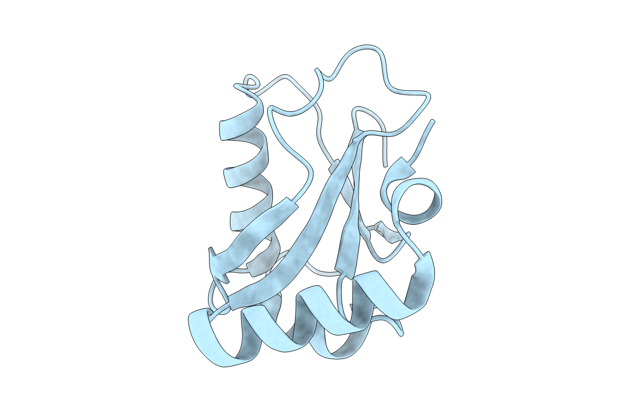 1UGM image