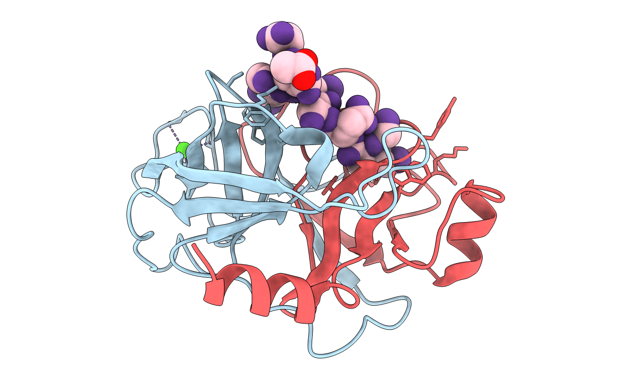 1UHB image