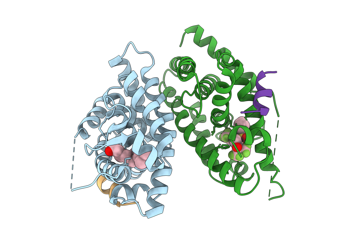 1UHL image
