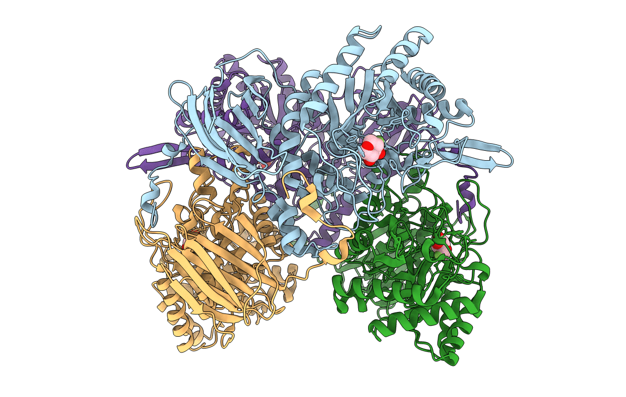 1UHV image