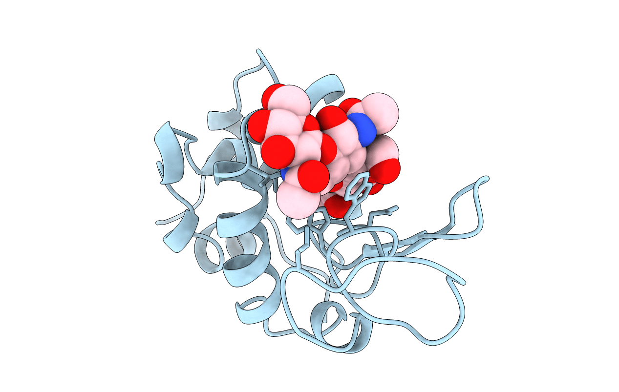 1UIB image