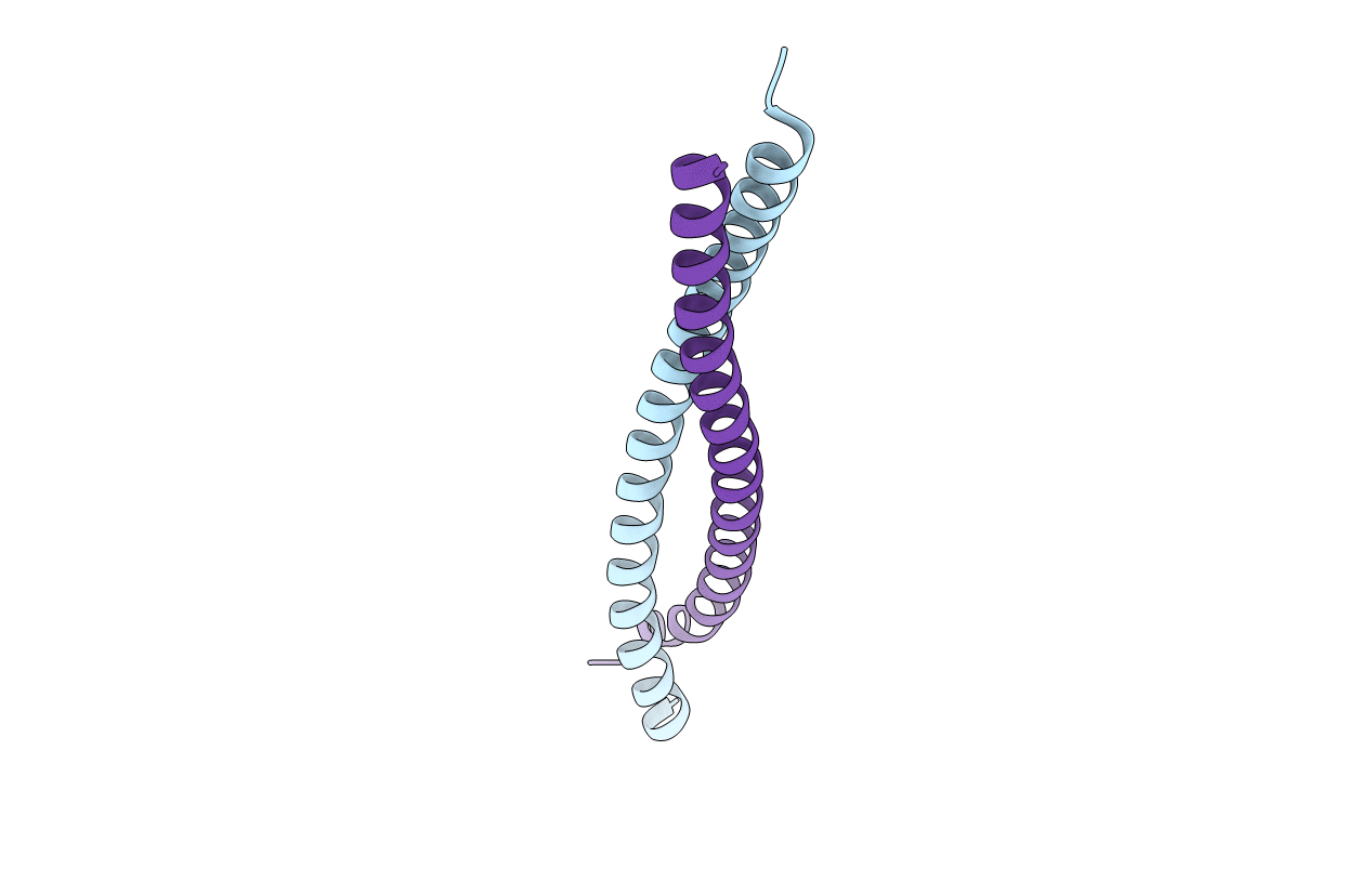 1UII image