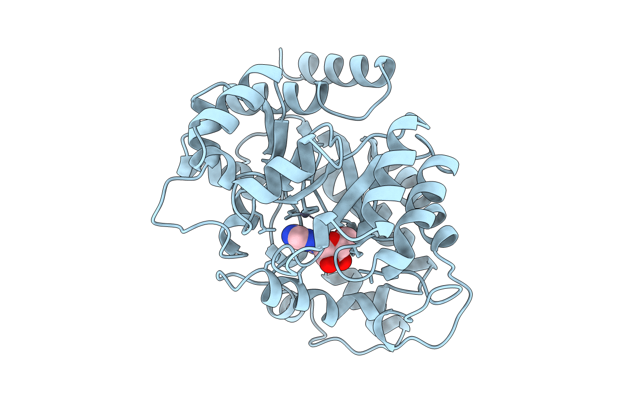 1UIP image