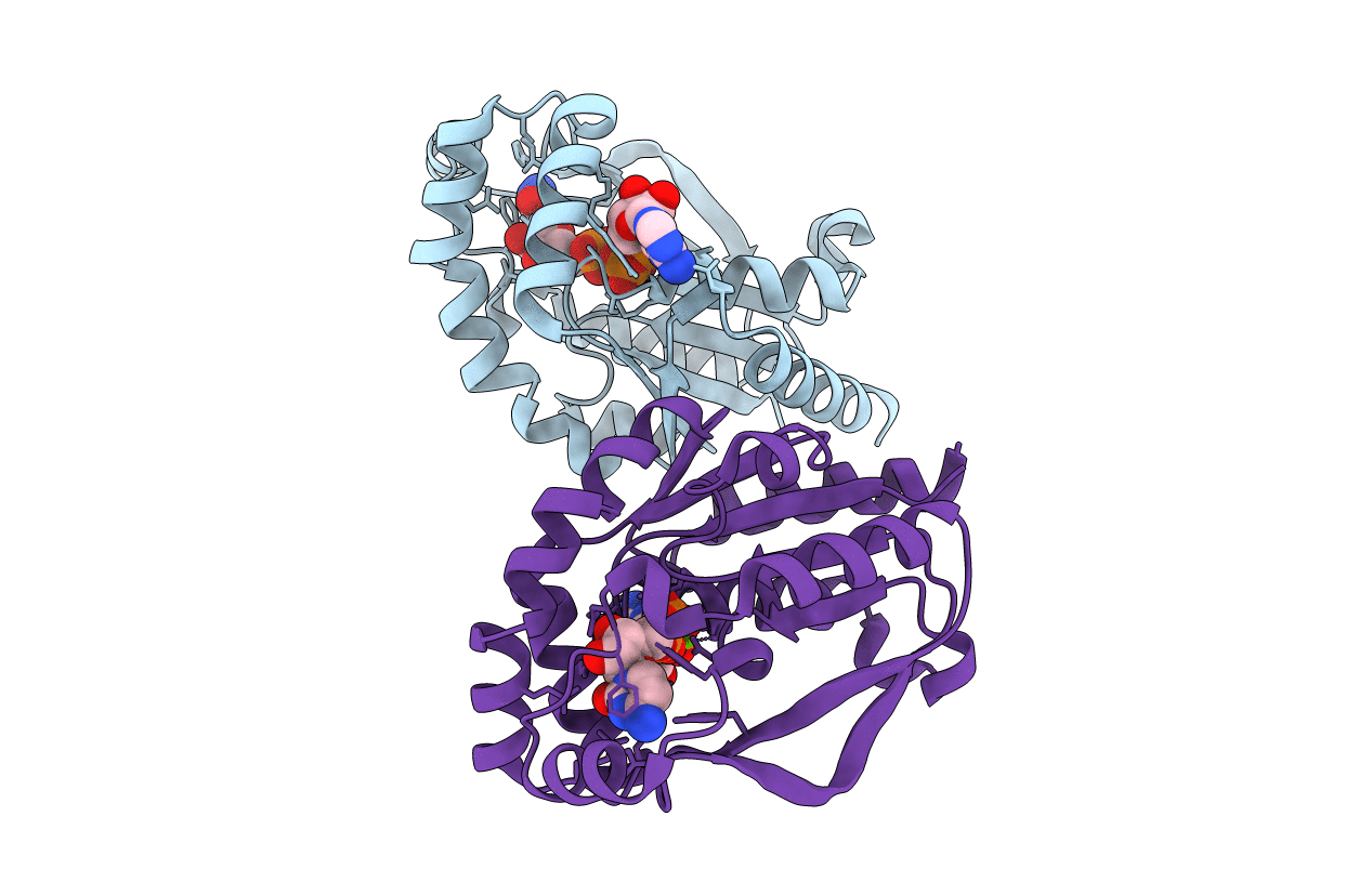 1UJ2 image
