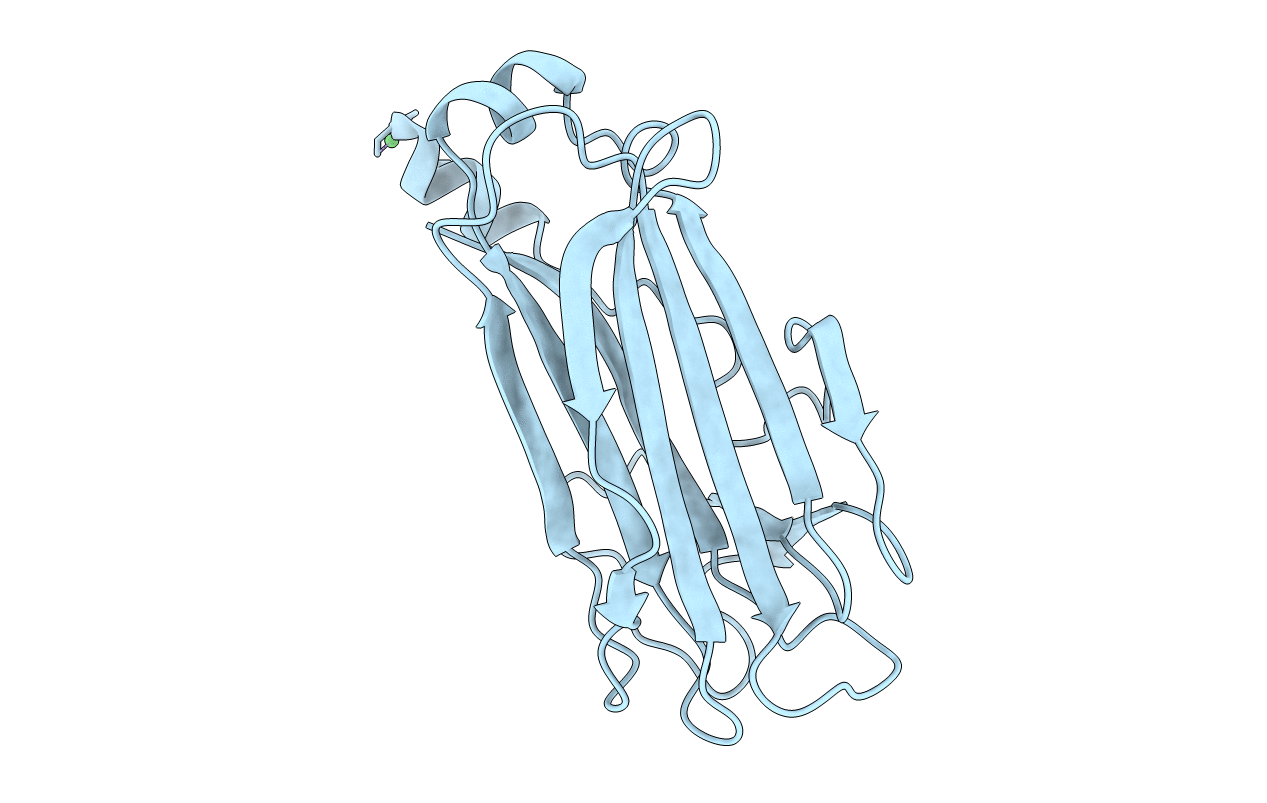 1UMH image