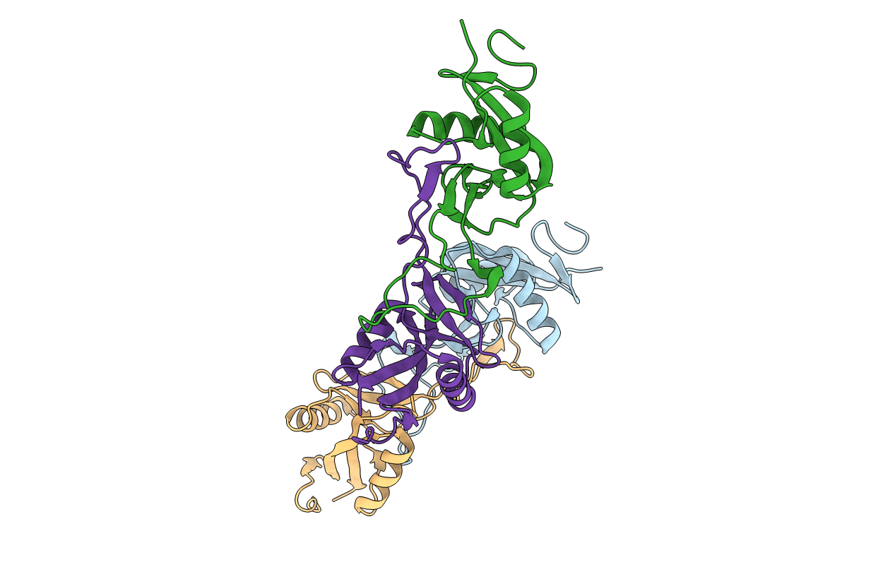 1UMR image