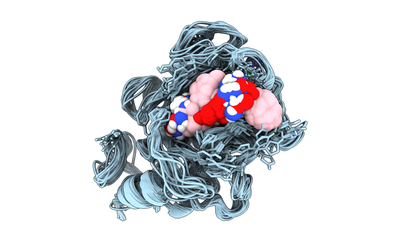 1UMS image