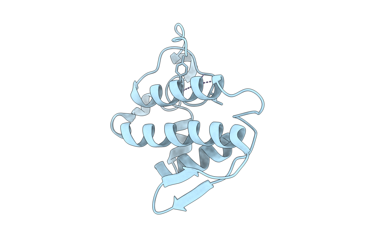 1umv image