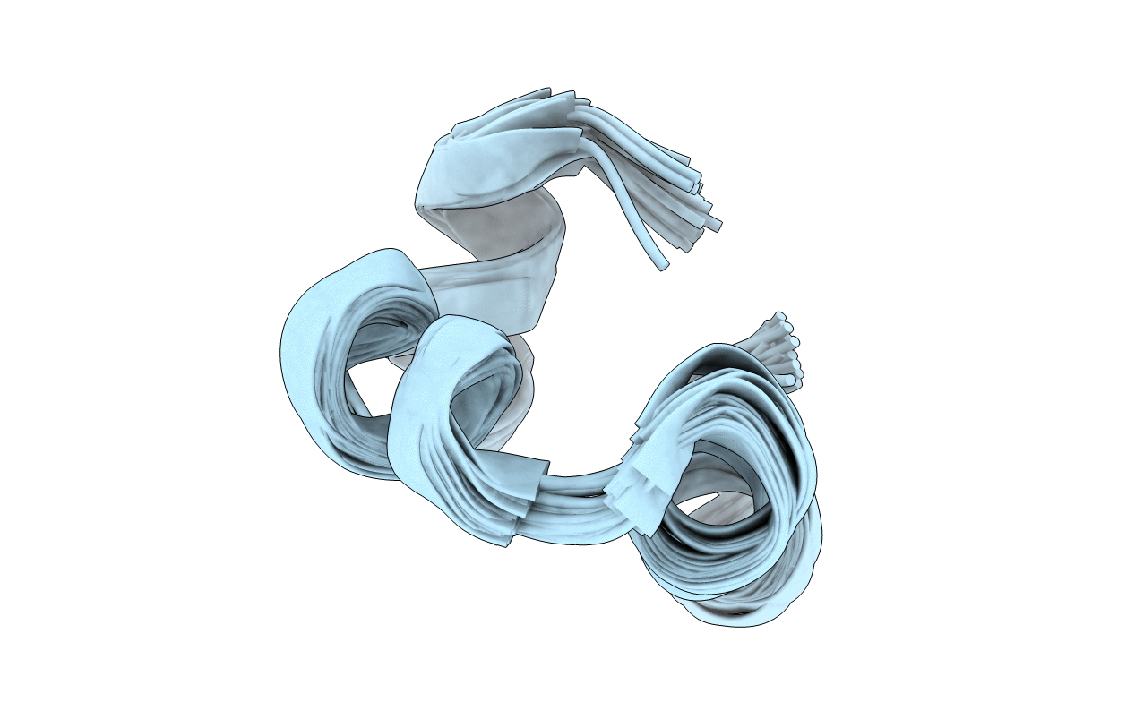 1UNC image
