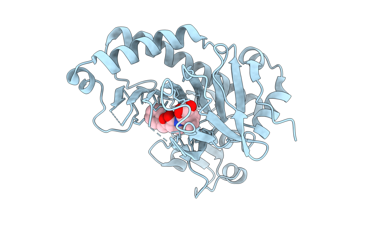 1UOB image