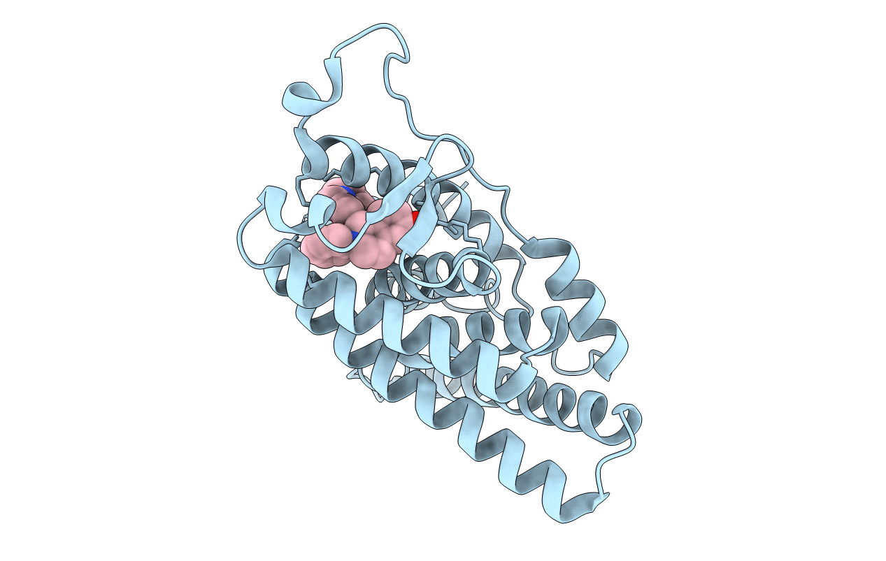 1UOM image