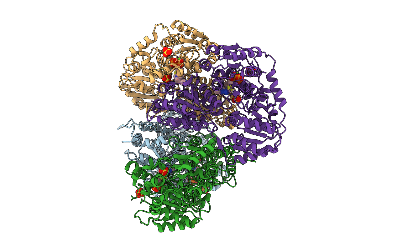 1UPB image